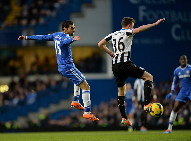 新奧爾良鵜 新奧爾良鵜