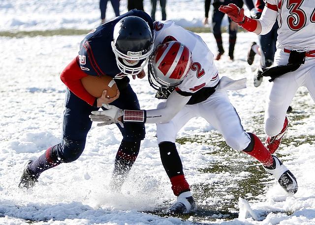 沙拿大放异 沙拿大放异